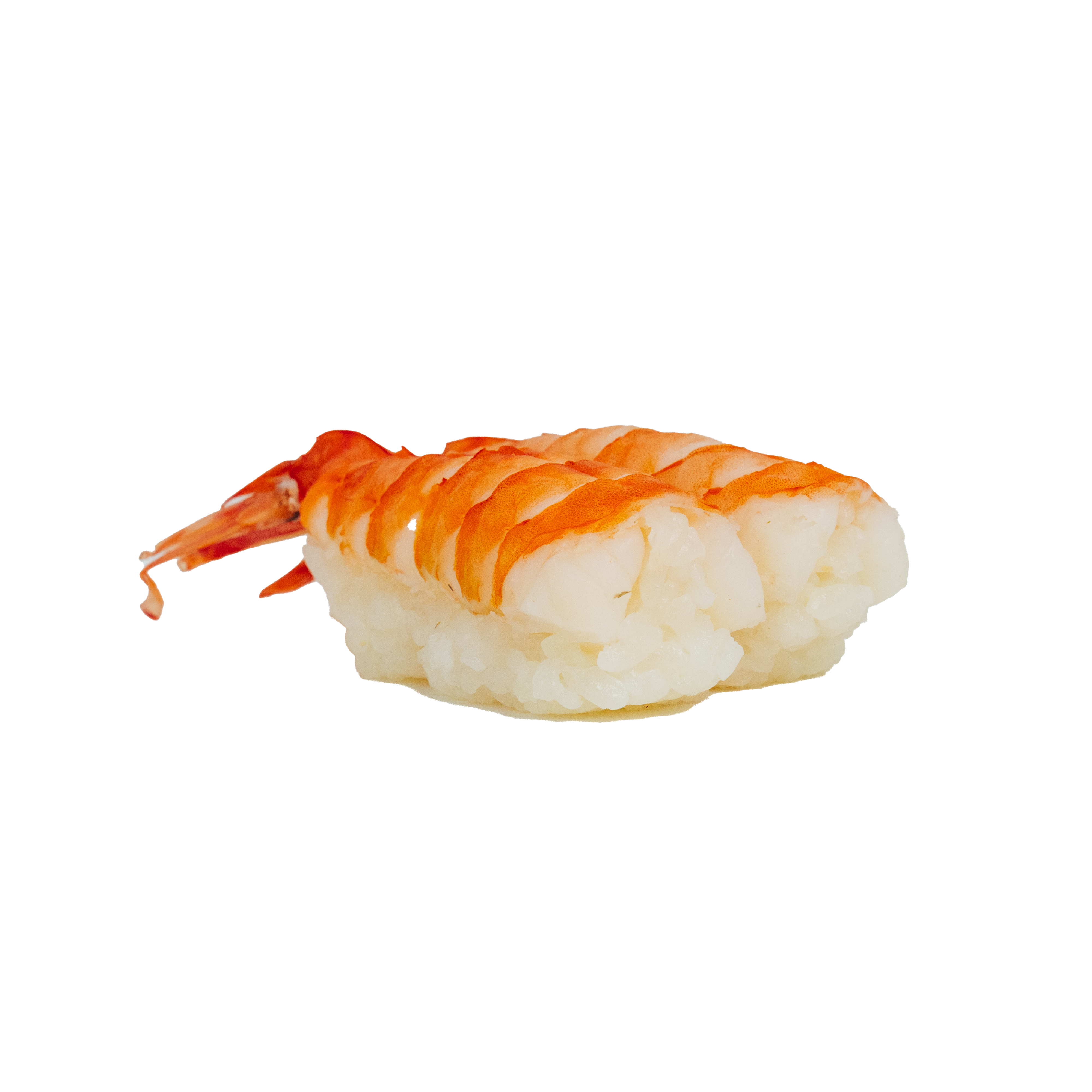 <span style="font-weight: 700;">NIGIRI - EBI (2 Stück)</span><br>